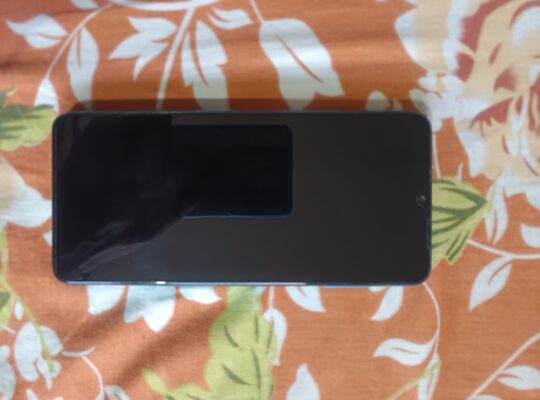 Samsung F12