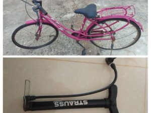 Ladybird Cycle