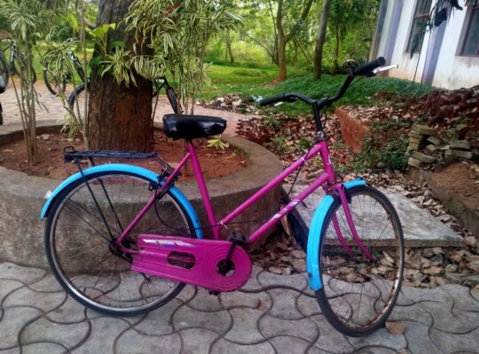 Lady Bird Cycle