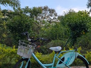 Ladies bycycle