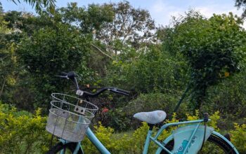 Ladies bycycle