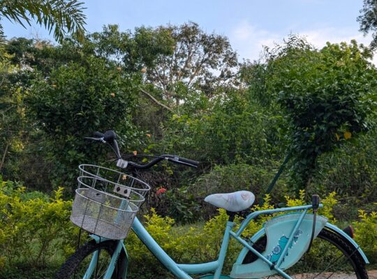 Ladies bycycle